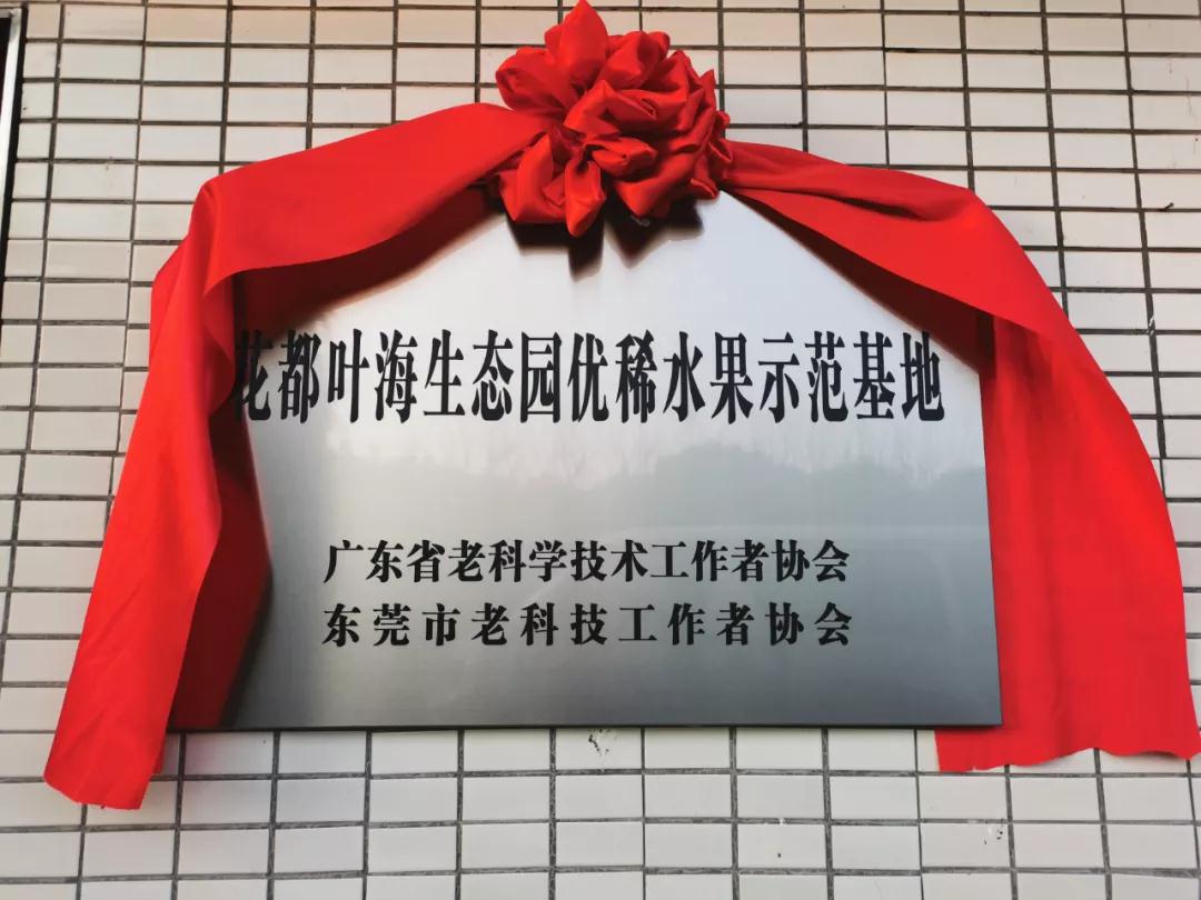喜报！祝贺合作伙伴叶海生态园被授予“优稀水果示范基地”